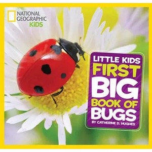 Little Kids First Big Book of Bugs (2014)