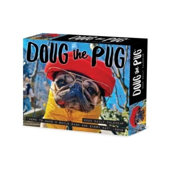Willow Creek Press Calendars Doug the Pug 2026 5.4 X 6.2 Box Calendar-USA