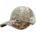 HARAHU Шапка с козирка pl-22109 - Кафява kp22109