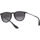 Image 1 of Ray-Ban Erika RB4171 622/8G