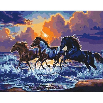 Norimpex - Puzzle Diamant painting: Wild horses on the beach 30x40cm - 1 - 39 piese