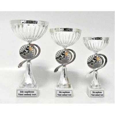 VIZINGR Sjezdové lyžování poháry 503-K057 503-K057/26 cm