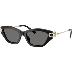 Tiffany & Co Tiffany & Co. TF4231U 800181 (TF4231U 800181) Слънчеви очила