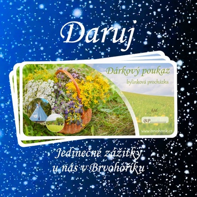 Dárkový poukaz *bylinková procházka s přespáním v týpí*- kurzy a jiné události