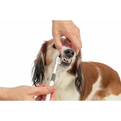 Trixie Tříhlavý zubní kartáček pro psy/kočky 18cm bílá/šedá