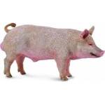 CollectA BOAR Figure