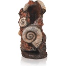 BiOrb Ancient Conch Ornament 20 cm