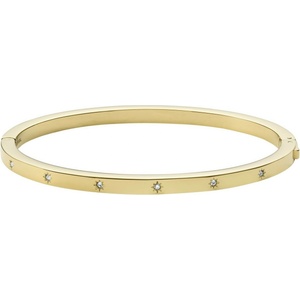 Fossil дамска твърда стоманена гривна JF03872710 Fossil | Mnogotsveten | ЖЕНИ | UNI