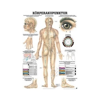 Rüdiger-Anatomie Naučný plakát Akupunktura těla