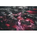 DIMEX ART Флизелинов фототапет червен поток в джунгла 375 x 250 см