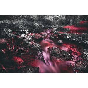 DIMEX ART Флизелинов фототапет червен поток в джунгла 375 x 250 см