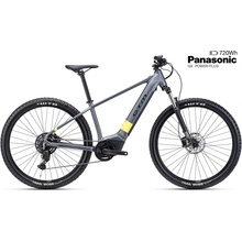 CTM Pulze GX 2025