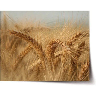 Sablio Plagát Klasy 2 - 60x40 cm