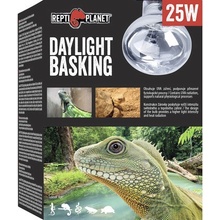 Repti Planet Daylight Basking Spot 25 W