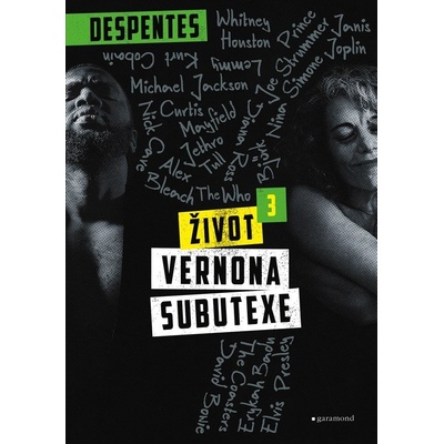Život Vernona Subutexe 3 - Virginie Despentes