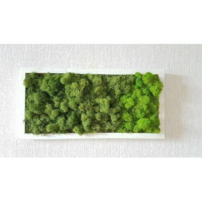 Dvoubarevný mechový obraz 20cm x 40cm