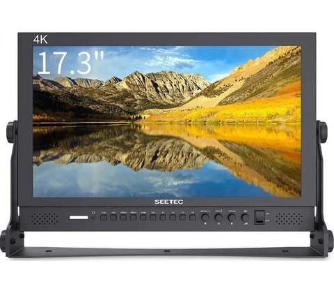 Seetec P173-9HSD
