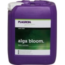 Plagron-alga bloom 250 ml