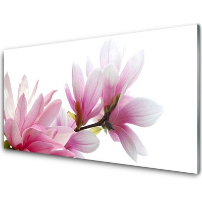 Obraz na skle Magnolie Květ 100x50 cm