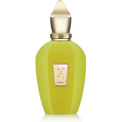 Xerjoff Amabile parfumovaná voda unisex 100 ml tester
