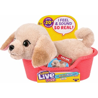 Little Live Pets Môj Skutočný Mini Kamarát Šteňa – Labrador Buddy