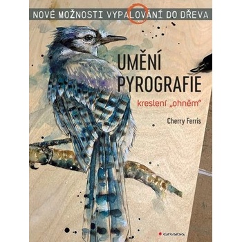 Umění pyrografie