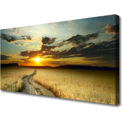 Obraz Canvas Cestička pole príroda 100x50 cm