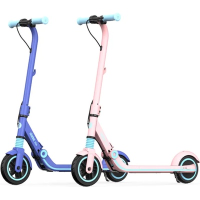 Segway Ninebot Kickscooter E8