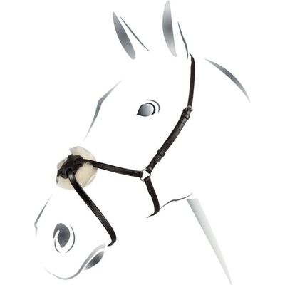 Equestro Nánosník mexický Čierna