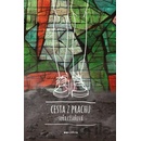 Cesta z prachu