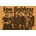 NNM плакат foo fighters - pp2512103