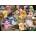 Ravensburger - Puzzle Gelini set the table - 1 000 piese
