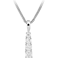 Silver Cat SC576