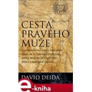 Cesta pravého muže. Duchovní průvodce pro muže, aneb jak si poradit s výzvami, které před muže staví ženy, práce a sexuální touha - David Deida