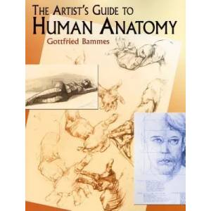 Artist's Guide to Human Anatomy | Gottfried Bammes (ISBN: 9780486436418)