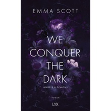 We Conquer the Dark