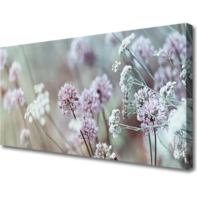 Obraz Canvas Poľné kvety lúka príroda 100x50 cm