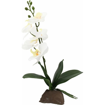 Lucky Reptile Orchidej bílá 35 cm