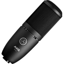 AKG P120