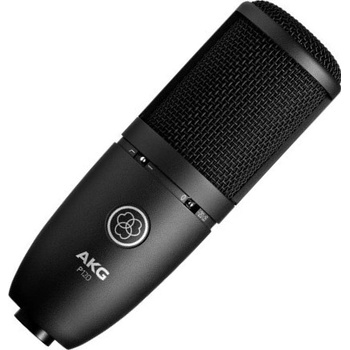 AKG P120