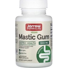 Jarrow Formulas Mastic Gum masticha 500 mg 60 rostlinných kapslí