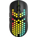 CANYON 7keys (CND-SGMW18)