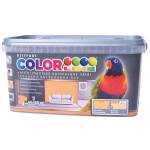 Colorline 4 кг цветна кайсия 07