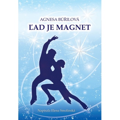 Ľad je magnet