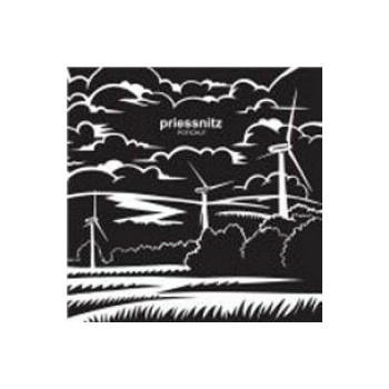 PRIESSNITZ: POTICHU? LP