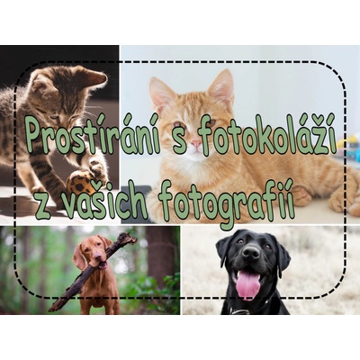 PokojovaDekorace.cz Prostírání s fotokoláží z vašich fotografií 43x30cm