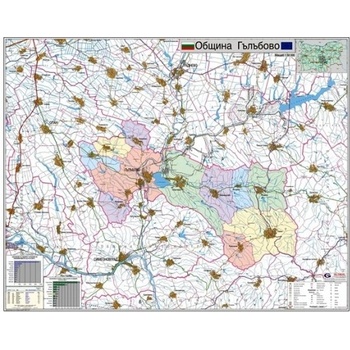 Mapmedia Карта на община Гълъбово