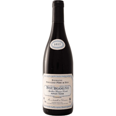 Domaine Poulleau Bourgogne Côte d’Or Pinot Noir 2022 13% 0,75 l (čistá fľaša)