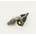 BOSCH Lambda sonda 0258986676