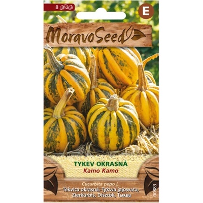 Tekvica okrasná Kamo Kamo 00883